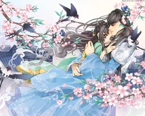 伊甸园2022大象在线观看